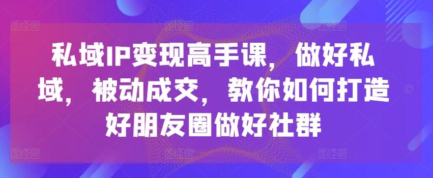 私域IP变现高手课，做好私域，被动成交，教你如何打造好朋友圈做好社群-苍穹网创