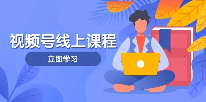 视频号实战课程，轻IP打造与运营技巧，掌握核心方法与策略-苍穹网创