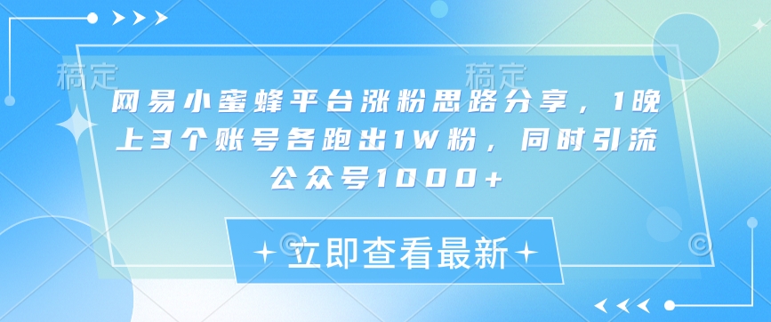 网易小蜜蜂平台涨粉思路分享，1晚上3个账号各跑出1W粉，同时引流公众号1000+-苍穹网创