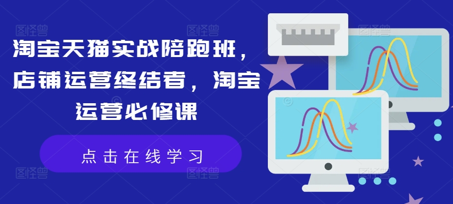淘宝天猫实战陪跑班，店铺运营终结者，淘宝运营必修课-苍穹网创