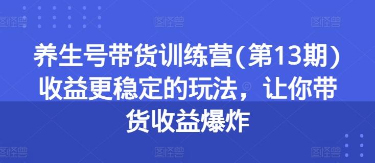 养生号带货训练营(第13期)收益更稳定的玩法，让你带货收益爆炸-苍穹网创