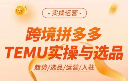 跨境拼多多TEMU实操与选品，多多temu跨境选品运营实操-苍穹网创