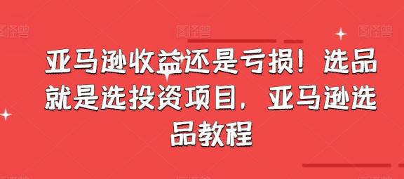 亚马逊收益还是亏损！选品就是选投资项目，亚马逊选品教程-苍穹网创