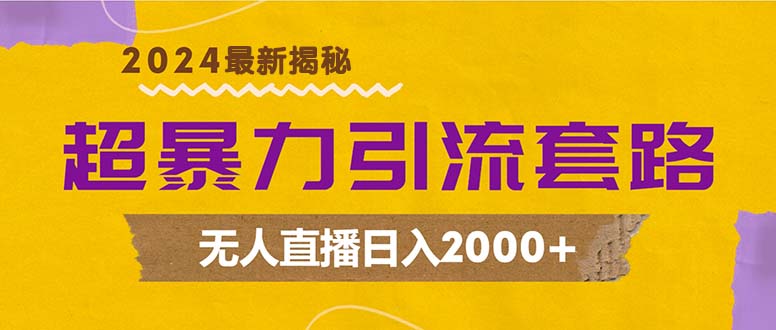 超暴力引流套路，无人直播日入2000+-苍穹网创