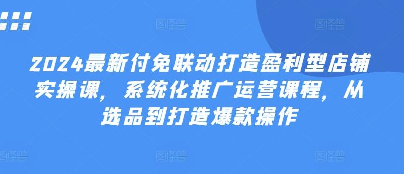 2024最新付免联动打造盈利型店铺实操课，​系统化推广运营课程，从选品到打造爆款操作-苍穹网创