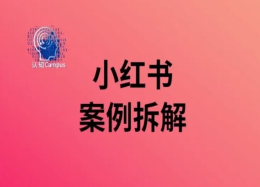 小红书案例拆解，深度解读小红书40万粉-苍穹网创