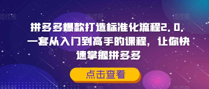 拼多多爆款打造标准化流程2.0，一套从入门到高手的课程，让你快速掌握拼多多-苍穹网创