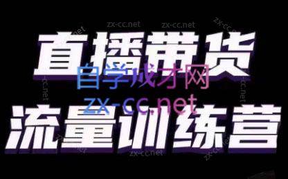 婉婉·直播带货课程系列合集(更新8月)-苍穹网创