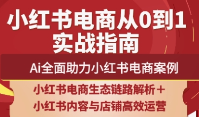 天诺老吴·2025小红书电商全链路运营-苍穹网创