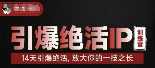 引爆绝活IP训练营，14天引爆绝活，放大你的一技之长-苍穹网创