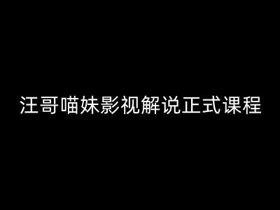 汪哥影视解说正式课程：剪映/PR教学/视解说剪辑5大黄金法则/全流程剪辑7把利器等等-苍穹网创