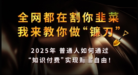 知识付费如何做到月入过W+，2025我来教你做“镰刀”【揭秘】-苍穹网创