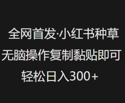 全网首发，小红书种草无脑操作，复制黏贴即可，轻松日入3张-苍穹网创