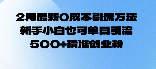 2月最新0成本引流方法，新手小白也可单日引流500+精准创业粉-苍穹网创