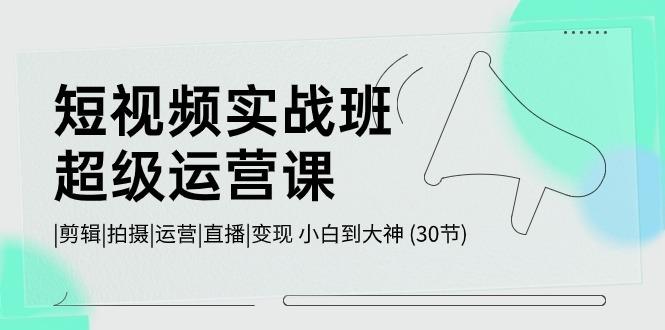 短视频实战班超级运营课 |剪辑|拍摄|运营|直播|变现 小白到大神 (30节)-苍穹网创