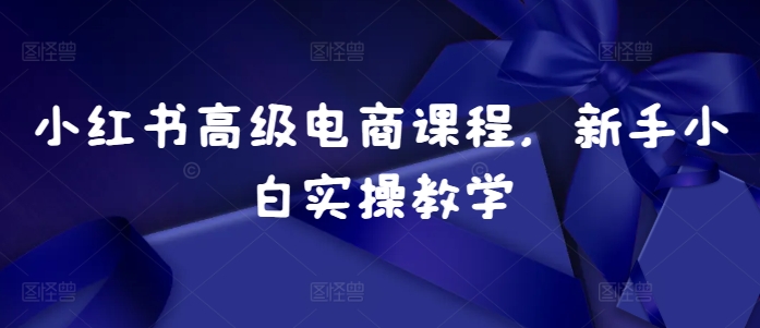 小红书高级电商课程，新手小白实操教学-苍穹网创