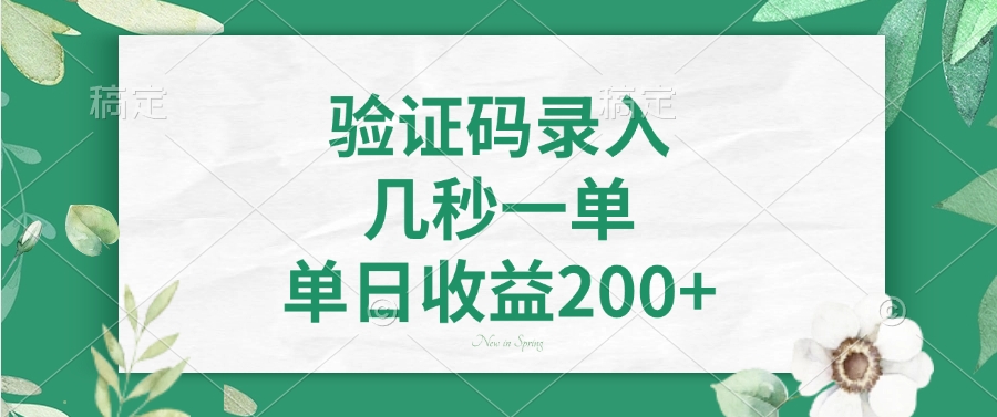 验证码录入，几秒一单，单日收益200+-苍穹网创