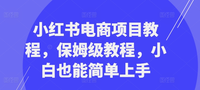 小红书电商项目教程，保姆级教程，小白也能简单上手-苍穹网创