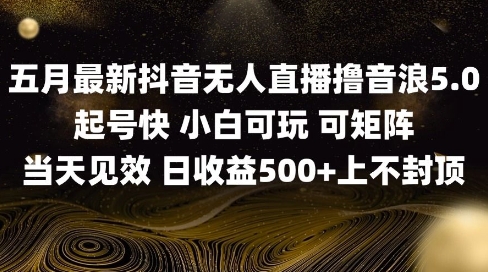 2025五月最新无人直播撸音浪单日产出5张+实操教程【揭秘】-苍穹网创
