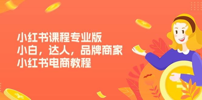 小红书课程专业版，小白，达人，品牌商家，小红书电商教程(15节-苍穹网创