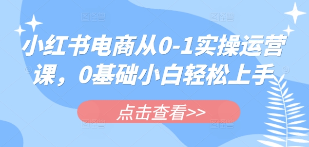 小红书电商从0-1实操运营课，0基础小白轻松上手-苍穹网创