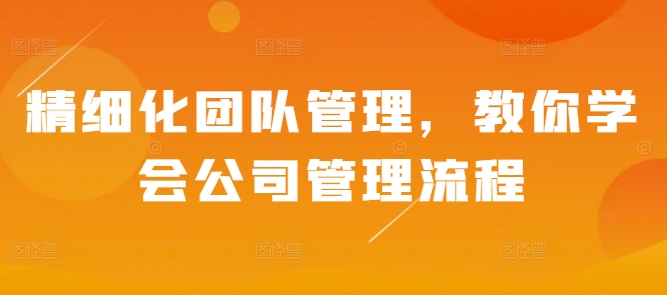 精细化团队管理，教你学会公司管理流程-苍穹网创