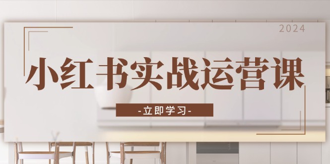 小红书实战运营课：从开通店铺到直播话术，打造爆款笔记与高效直播-苍穹网创