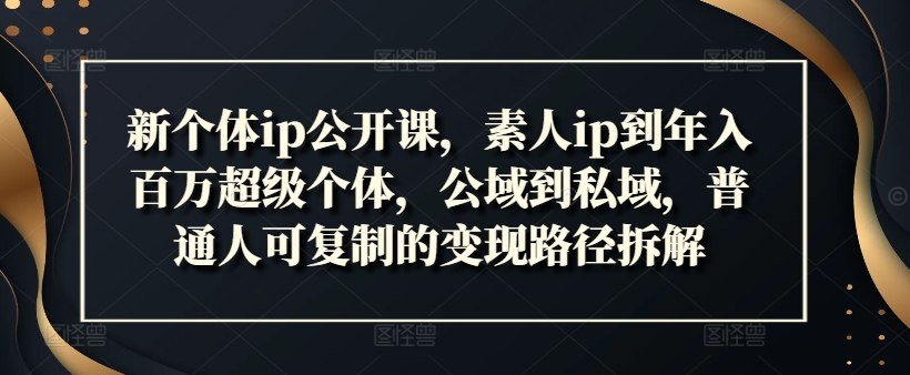 新个体ip公开课，素人ip到年入百万超级个体，公域到私域，普通人可复制的变现路径拆解-苍穹网创