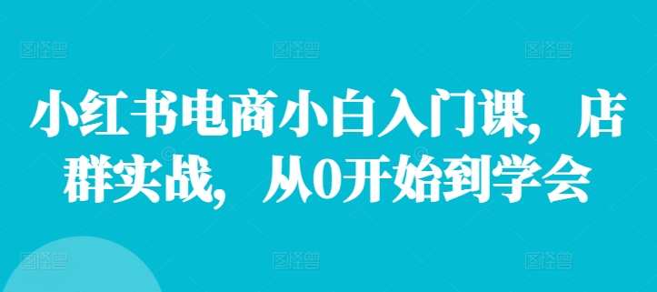 小红书电商小白入门课，店群实战，从0开始到学会-苍穹网创