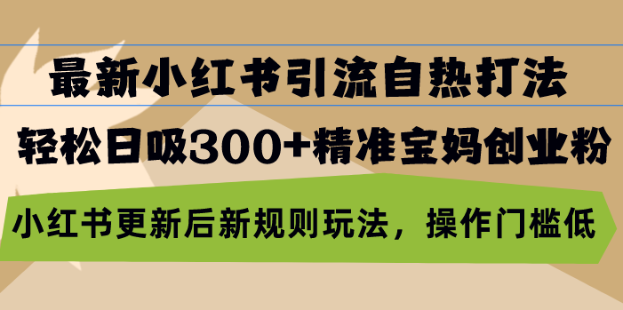 最新小红书引流自热打法，轻松日吸300+精准宝妈创业粉，小红书更新后新…-苍穹网创