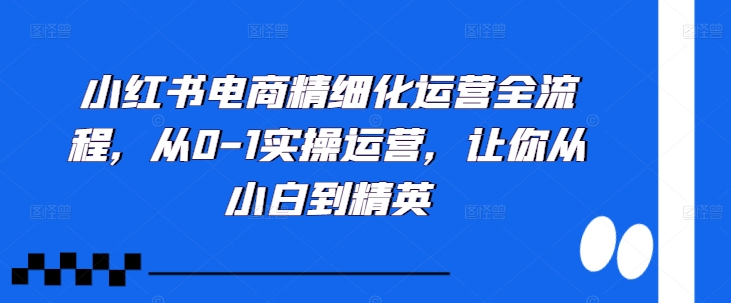 小红书电商精细化运营全流程，从0-1实操运营，让你从小白到精英-苍穹网创