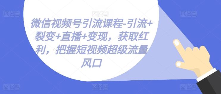 微信视频号引流课程-引流+裂变+直播+变现，获取红利，把握短视频超级流量风口-苍穹网创