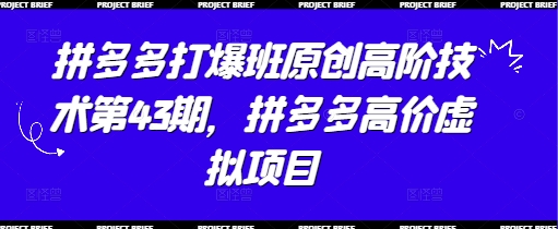拼多多打爆班原创高阶技术第43期，拼多多高价虚拟项目-苍穹网创