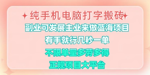 纯手机电脑打字搬砖，有手就行，几秒一单，多劳多得，正规项目大平台【揭秘】-苍穹网创
