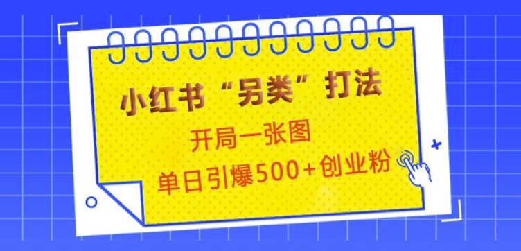 小红书“另类”打法，开局一张图，单日引爆500+精准创业粉【揭秘】-苍穹网创