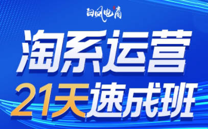 白凤电商·淘系运营21天速成班(更新3月)-苍穹网创