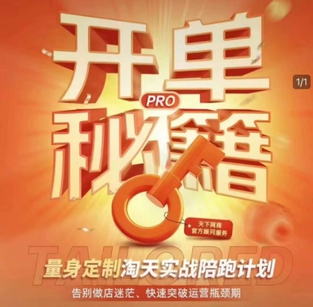 淘宝开单秘籍PRO，量身定制淘天实战陪跑计划，告别做店迷茫、快速突破运营瓶颈期(更新)-苍穹网创