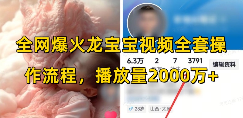 全网爆火龙宝宝视频全套操作流程，播放量2000万+-苍穹网创