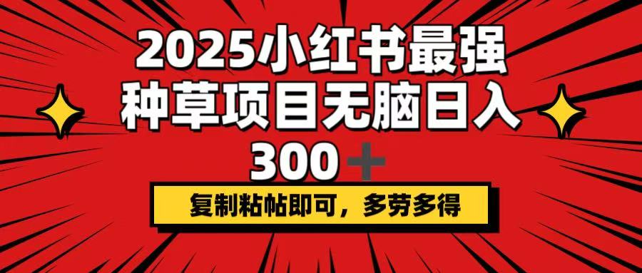 2025小红书最强种草项目，无脑日入300+，复制粘帖即可，多劳多得-苍穹网创