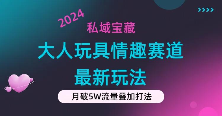 私域宝藏：大人玩具情趣赛道合规新玩法，零投入，私域超高流量成单率高-苍穹网创