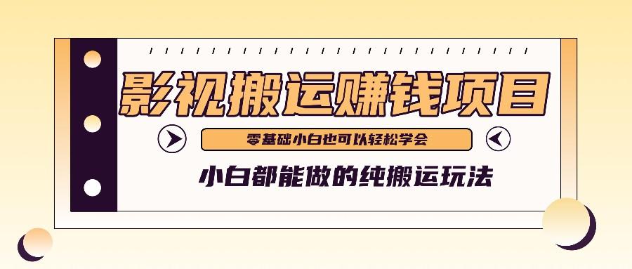 手把手教你操作影视搬运项目，小白都能做零基础也能赚钱-苍穹网创