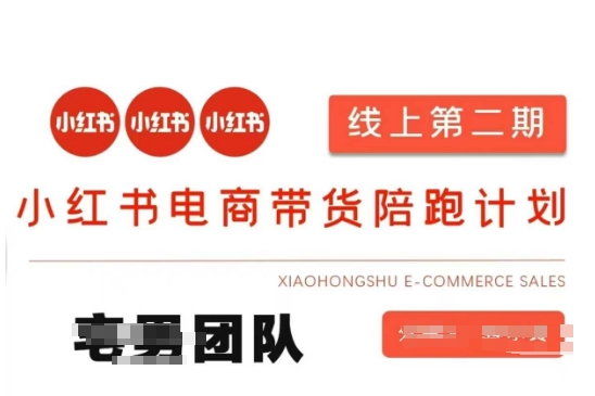 小红书电商带货课2期，月利润20个的小红书电商的有货源，无货源，虚拟产品，付费投流等整套玩法-苍穹网创