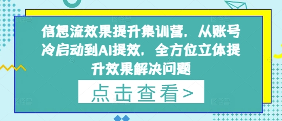 信息流效果提升集训营，从账号冷启动到AI提效，全方位立体提升效果解决问题-苍穹网创