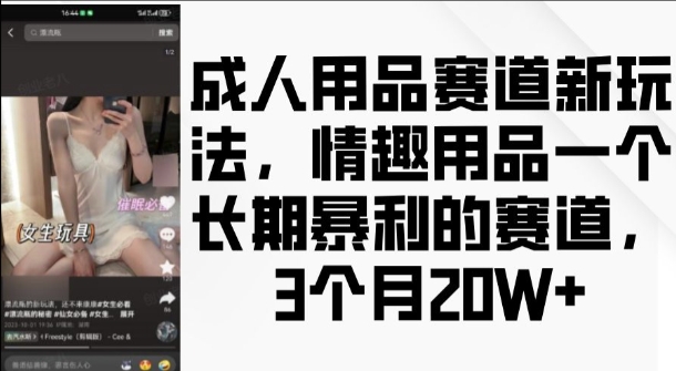 成人用品赛道新玩法，情趣用品一个长期暴利的赛道，3个月收益20个【揭秘】-苍穹网创