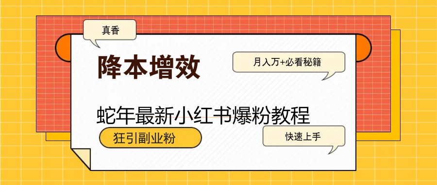 蛇年最新小红书爆粉教程，狂引副业粉，月入万+必看-苍穹网创