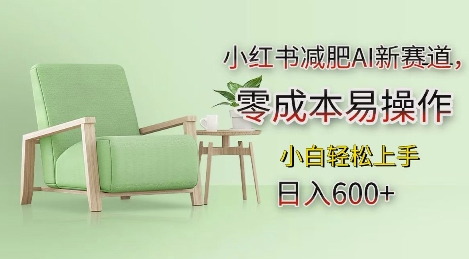 小红书减肥AI新赛道，零成本易操作，日入多张，小白轻松上手【揭秘】-苍穹网创
