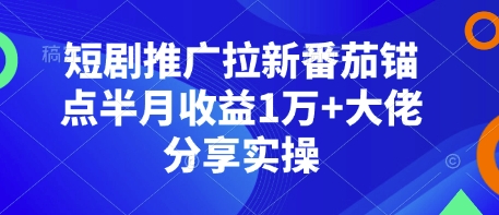 短剧推广拉新番茄锚点半月收益1万+大佬分享实操-苍穹网创