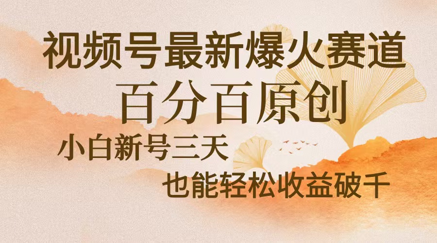 视频号最新爆火赛道，中老年粉深信不疑，百分百原创，新号三天收益轻松…-苍穹网创