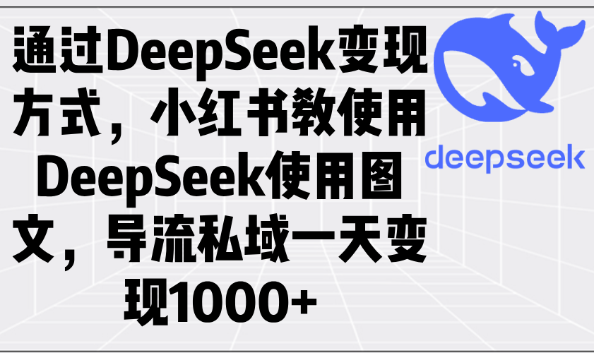 通过DeepSeek变现方式，小红书教使用DeepSeek图文，导流私域一天变现1000+-苍穹网创