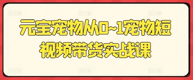 元宝宠物从0~1宠物短视频带货实战课-苍穹网创